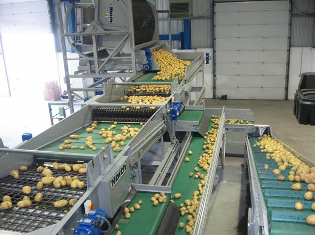 Jasa Pembuatan Conveyor Makanan